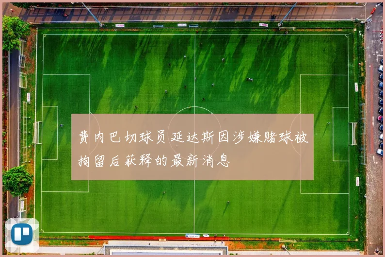 费内巴切球员延达斯因涉嫌赌球被拘留后获释的最新消息